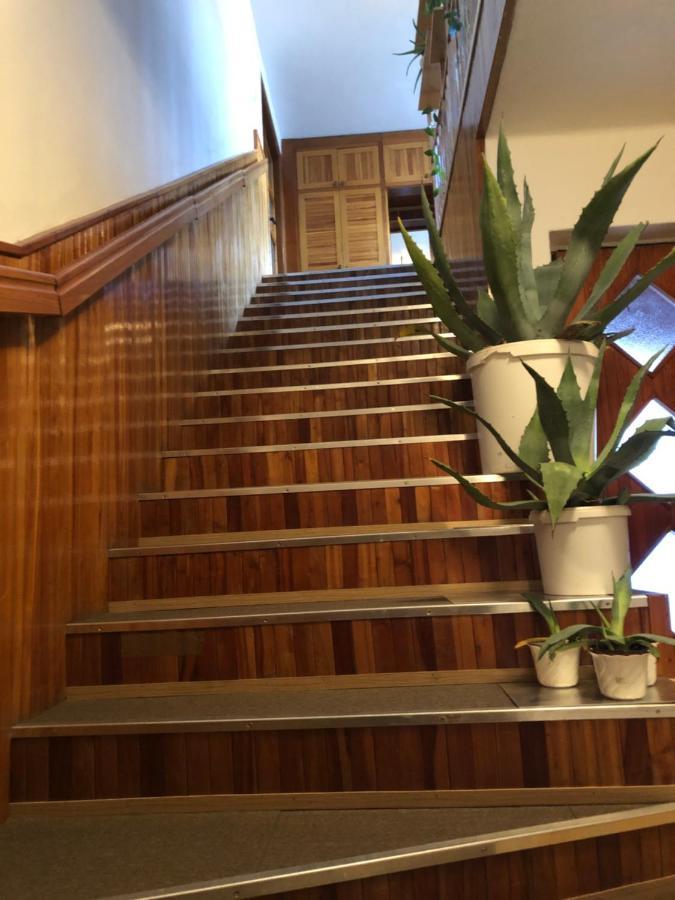 Apartman Olesnik Apartment Bagian luar foto