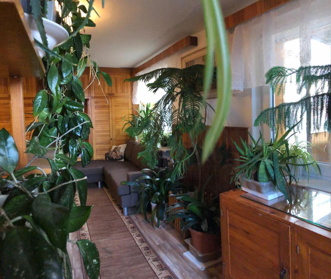 Apartman Olesnik Apartment Bagian luar foto